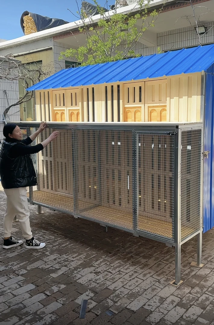 拼装鸽棚鸽子笼长3米宽2米（主棚1.5米晒棚50公分）高2.5米