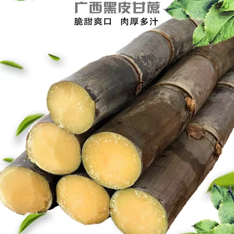 广西黑皮甘蔗现砍现发当季新鲜特产5斤9斤送削皮工具鲜脆丰收季