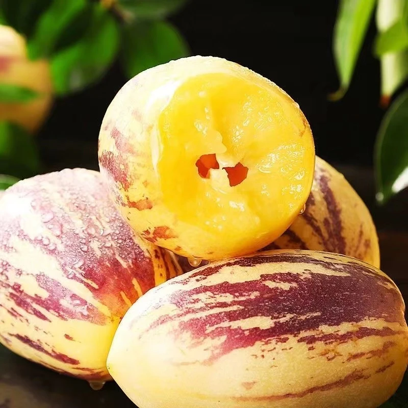 甘肃民勤沙漠人参果4.5-5斤（单果50-120g） 坏果包赔