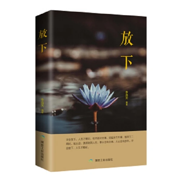 人生哲学通俗读物  放下  青春励志书籍
