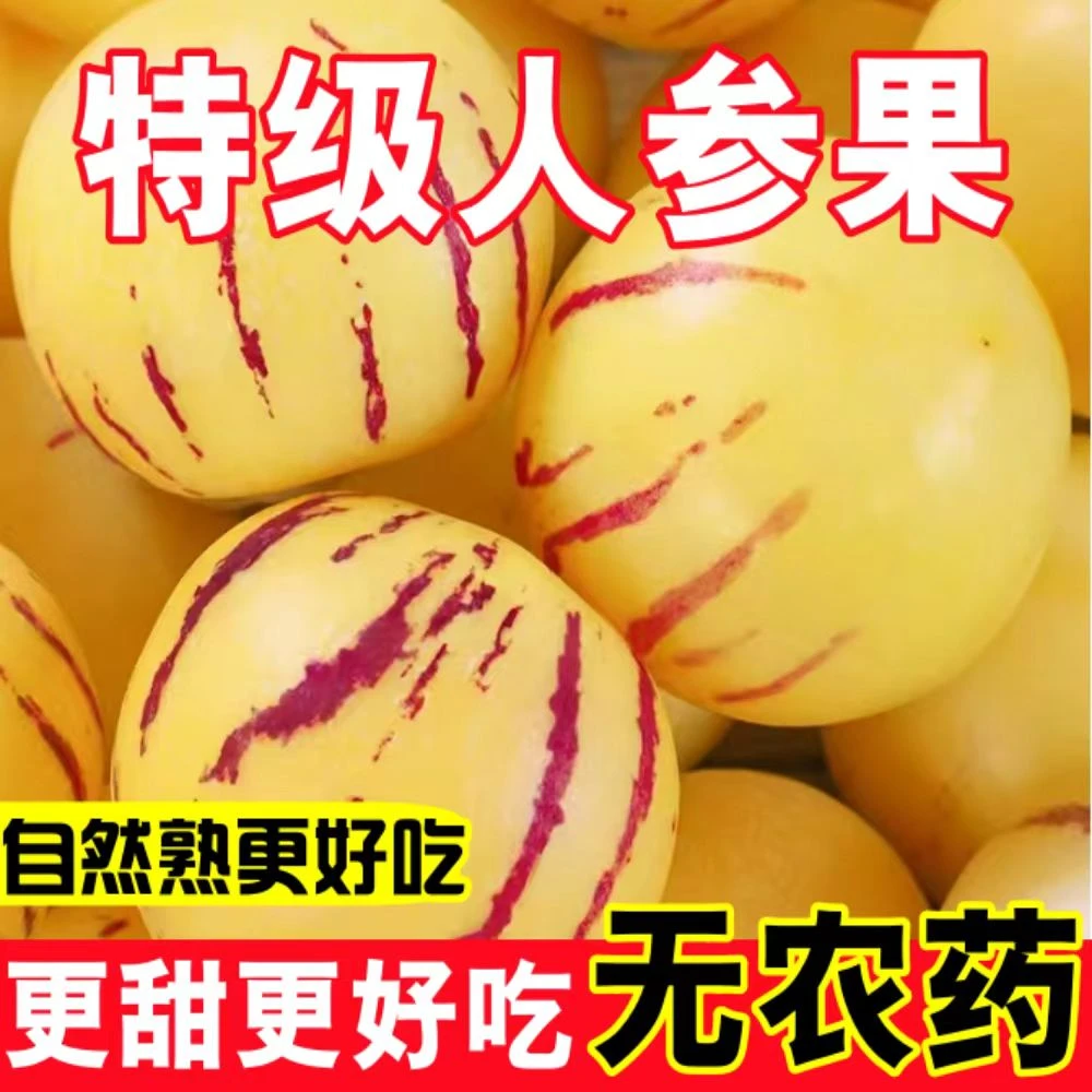 【坏果包赔】云南人参果树上熟人参果黄肉圆果5斤新鲜爆汁