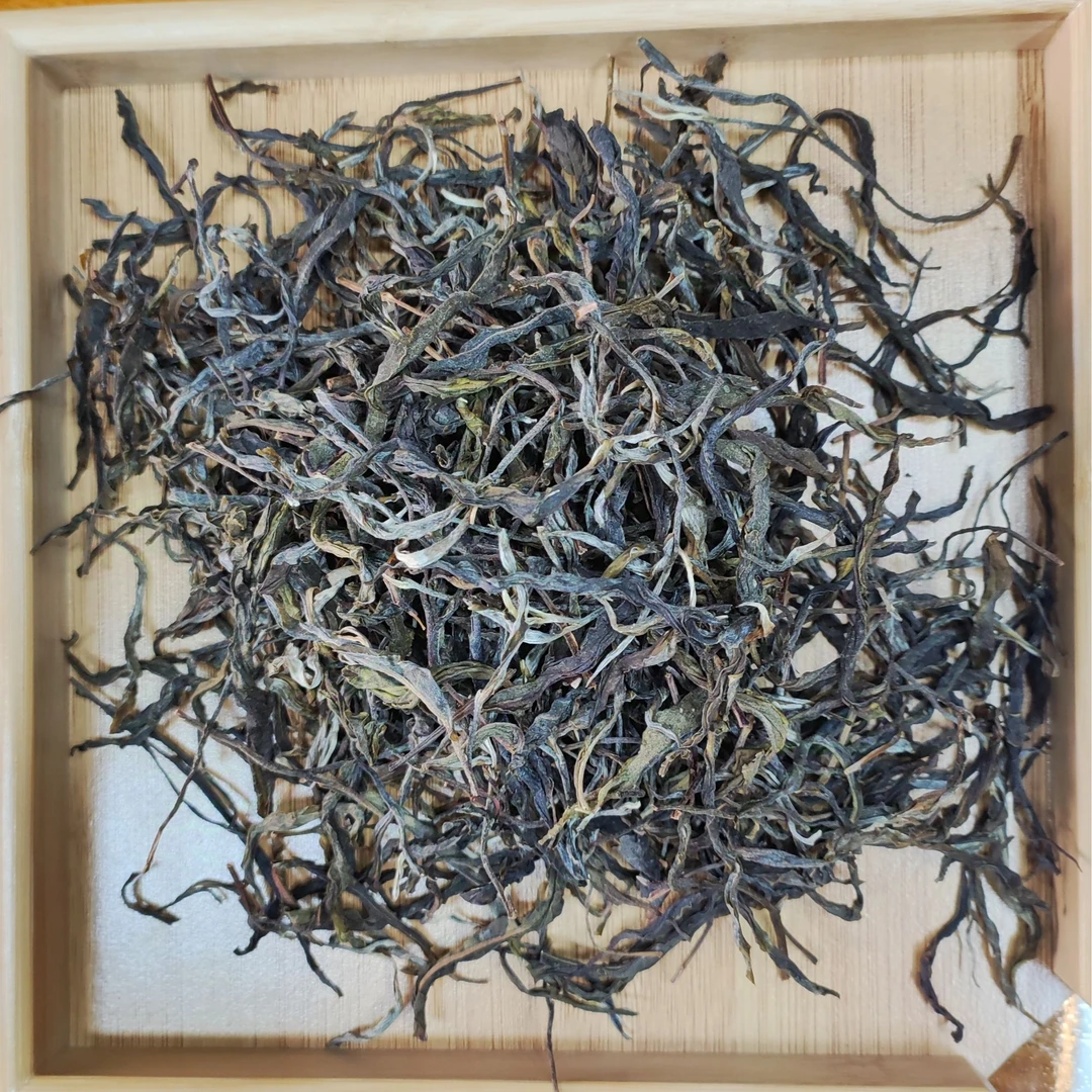 2024公弄古树春料生茶