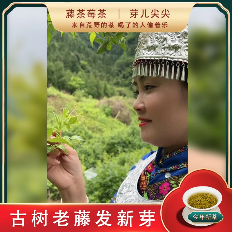 暖心助农】 莓茶龙须芽尖张家界永顺恩施来凤藤茶莓茶正品原产芽头