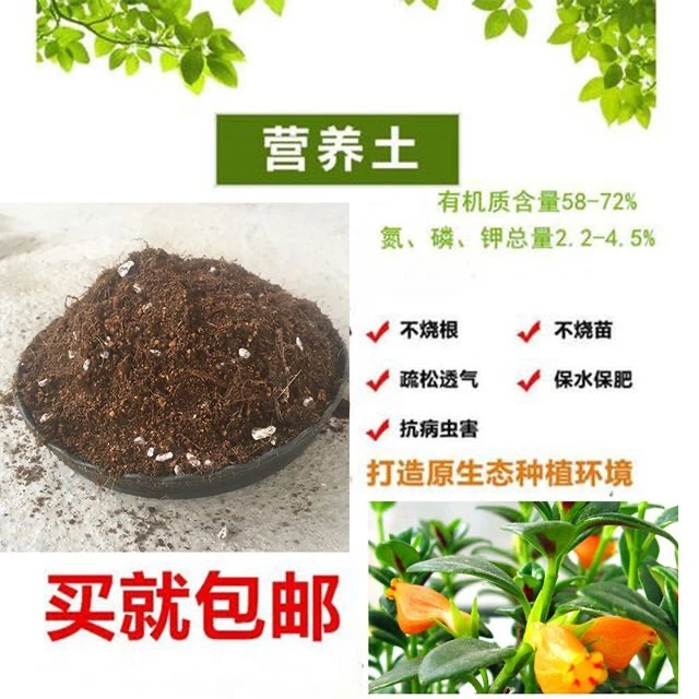 栀子花专用土和肥料