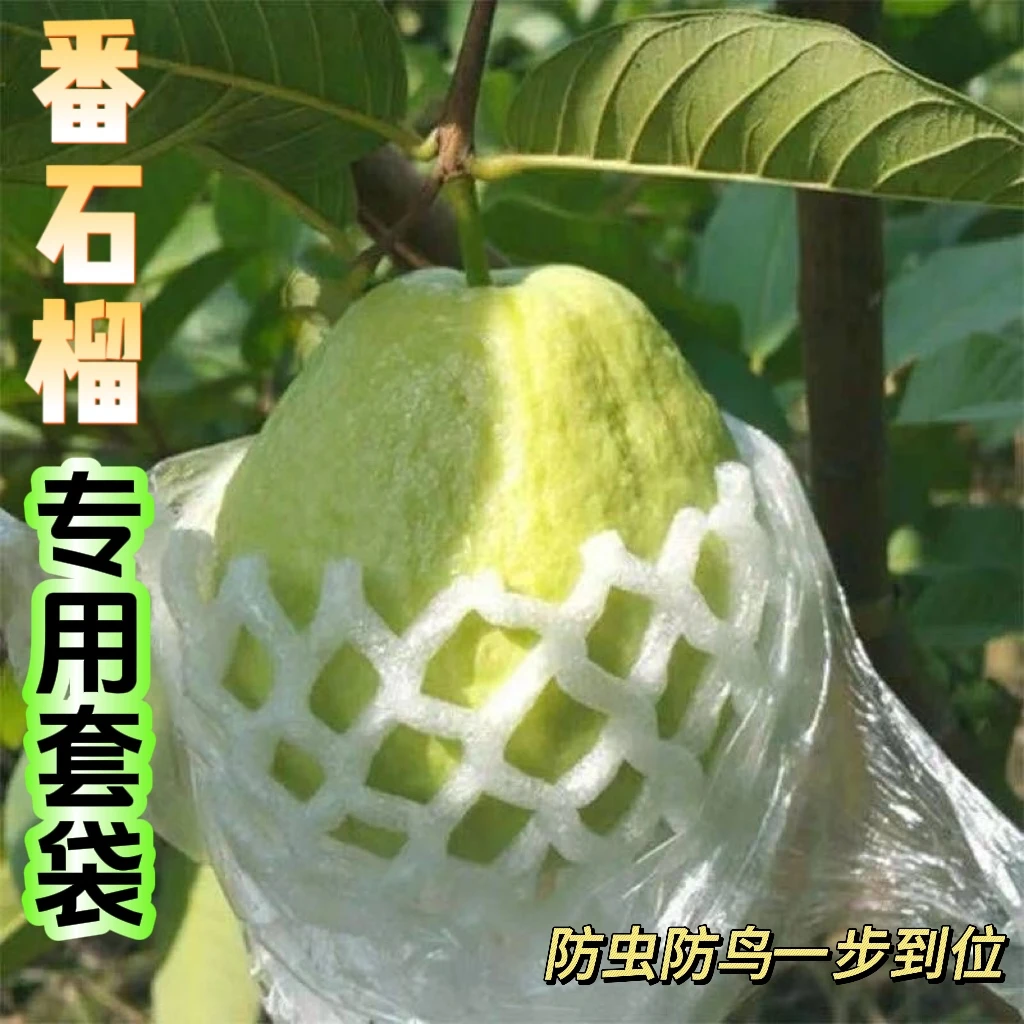 透气薄膜袋防虫套袋番石榴保护套袋石榴套袋芭乐网套套袋无毒加厚