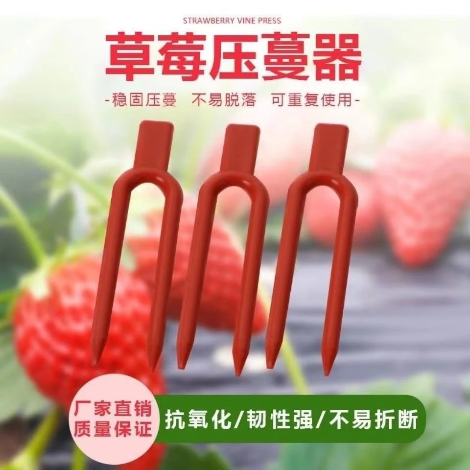 西瓜甜瓜叉压蔓器草莓育苗叉压苗U型藤蔓定植器塑料固定叉固定器