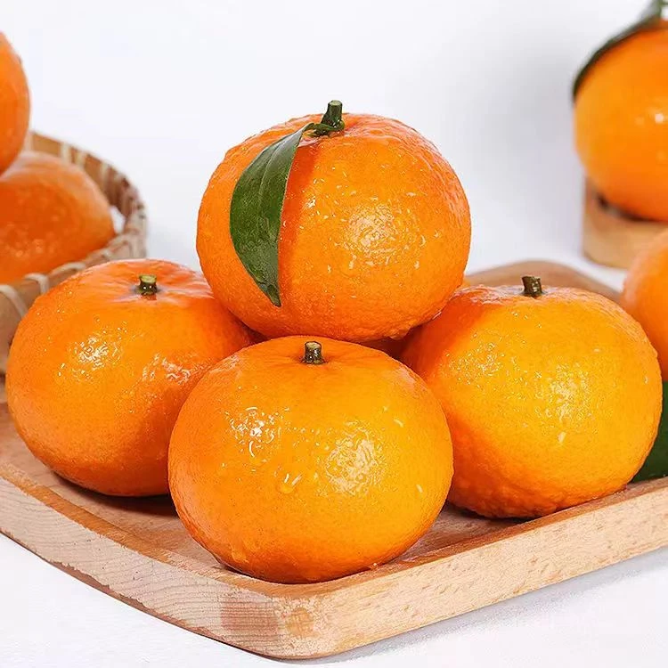 沃柑（活动价）3斤左右