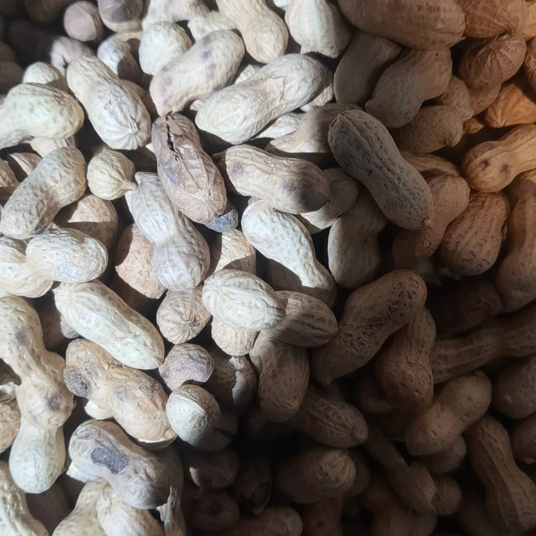 自炒小日本花生500g