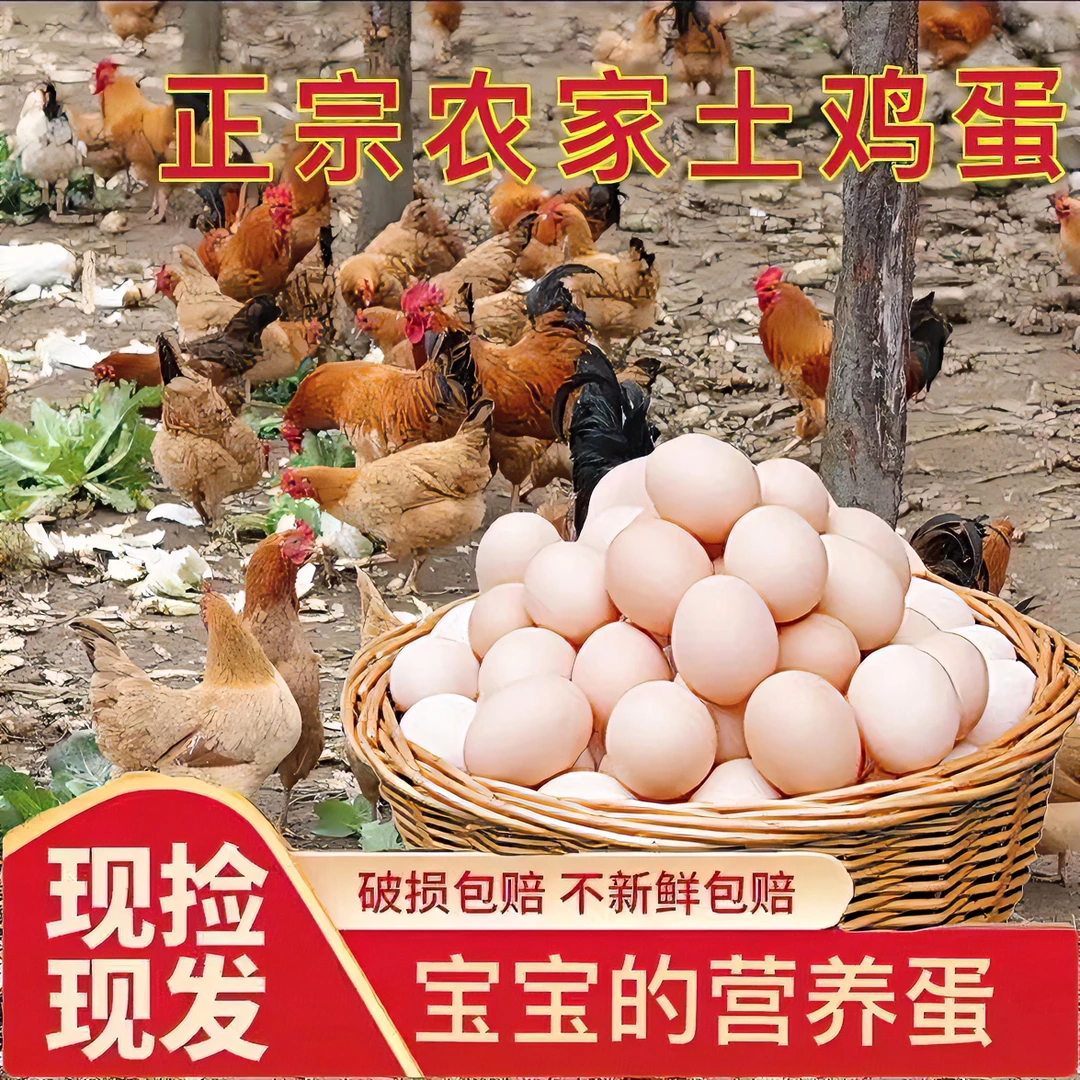 80枚大鸡蛋【顺丰快递】正宗农家散养土鸡蛋当日现捡现发新鲜土鸡蛋