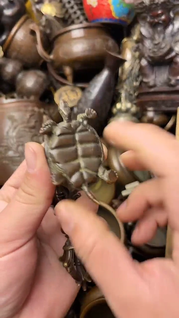 【闪购商品】青铜小乌龟