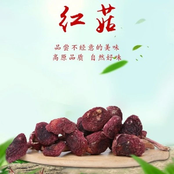 （大鹏收山货呀）云南山货深皂大山  红菇 煲汤炖鸡 100g