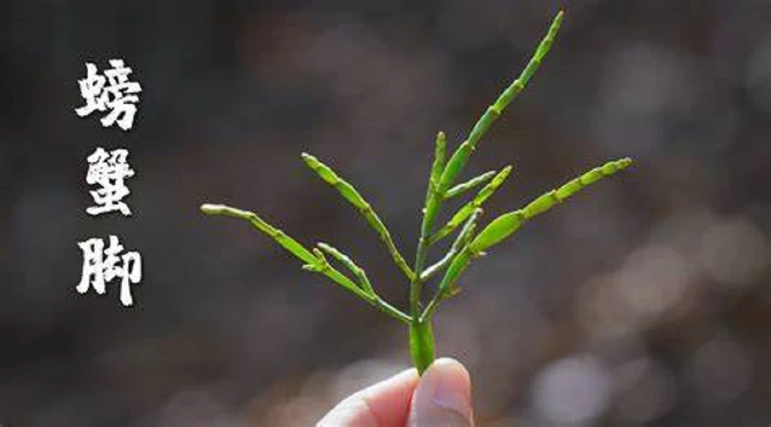 （大鹏收山货呀）大美云南山货皂螃蟹角250g