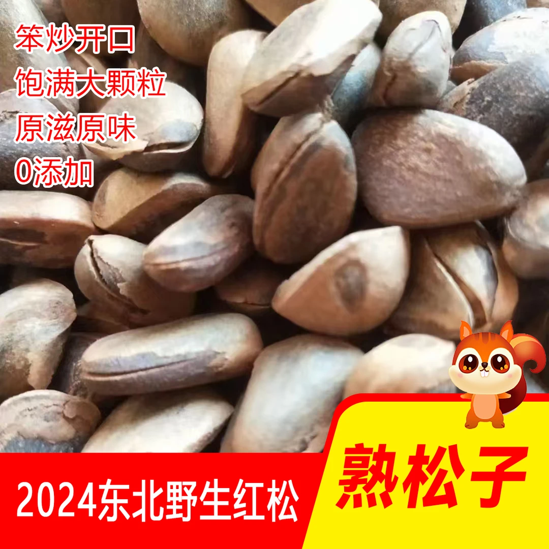 东北特产2025年野生松子 开口熟松子