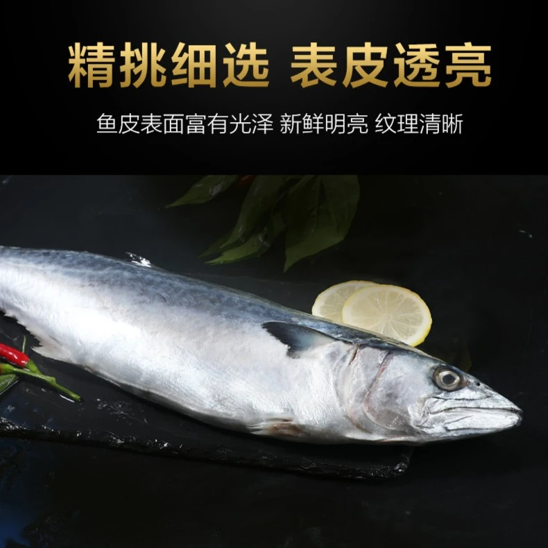 福建省 连江县  称好四斤后帮杀 野生马鲛鱼（切片冻发）2000g