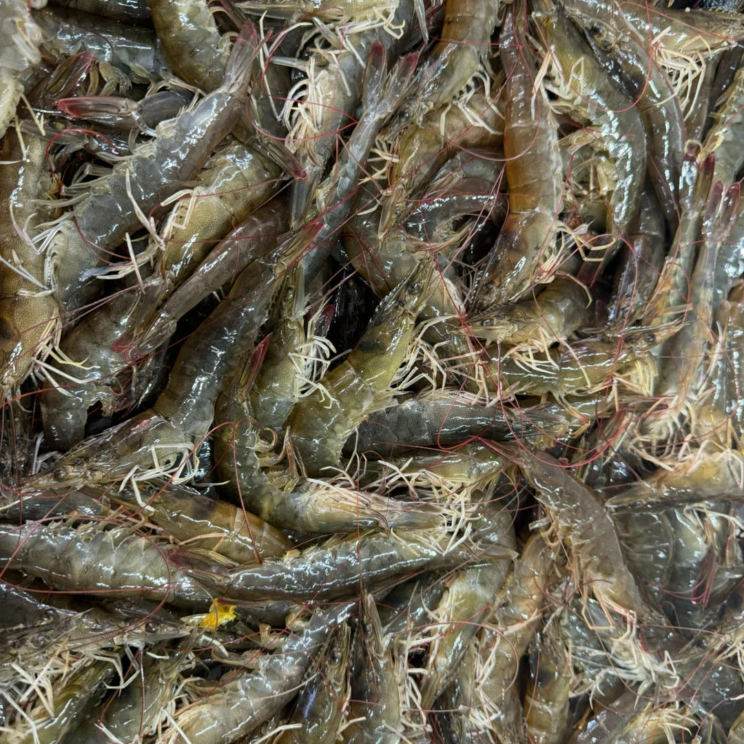 海水虾100元4斤（保鲜不包活）介意勿拍