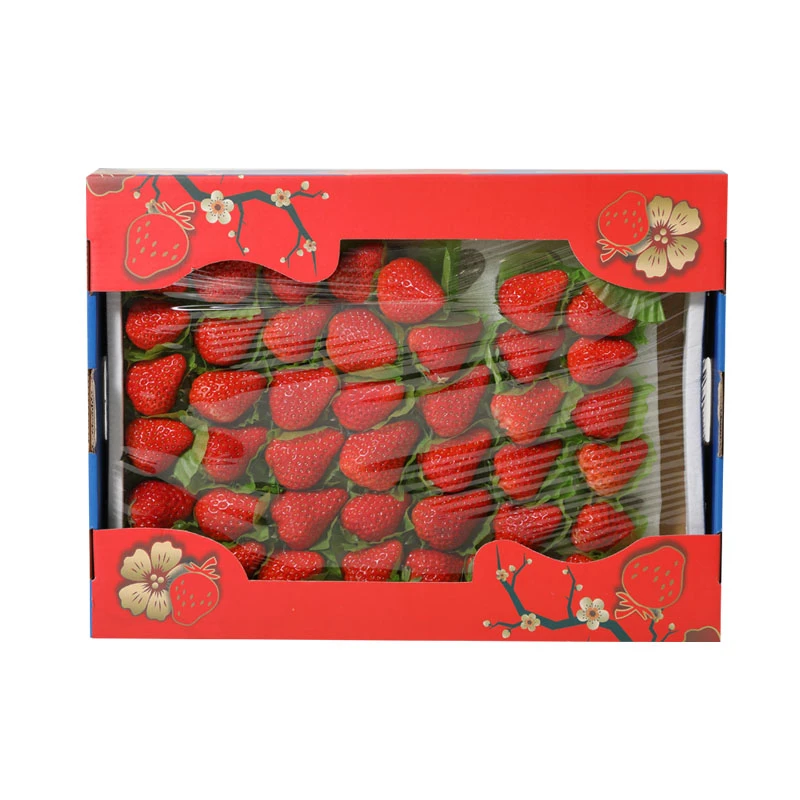 红颜草莓盒装1kg