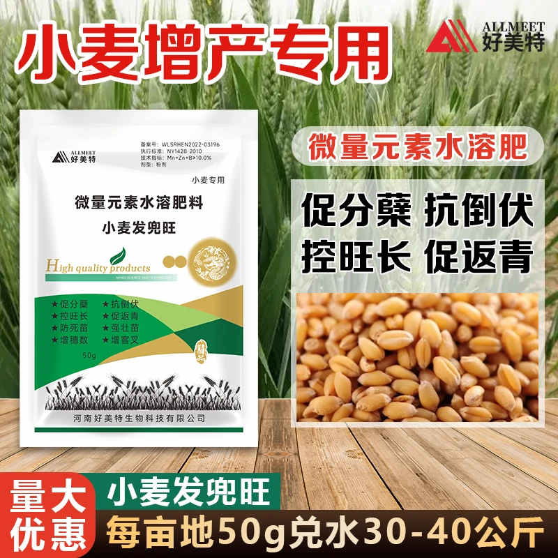 小麦发兜旺小麦专用抗倒伏控旺长增穗数促返青增客叉强壮苗增产