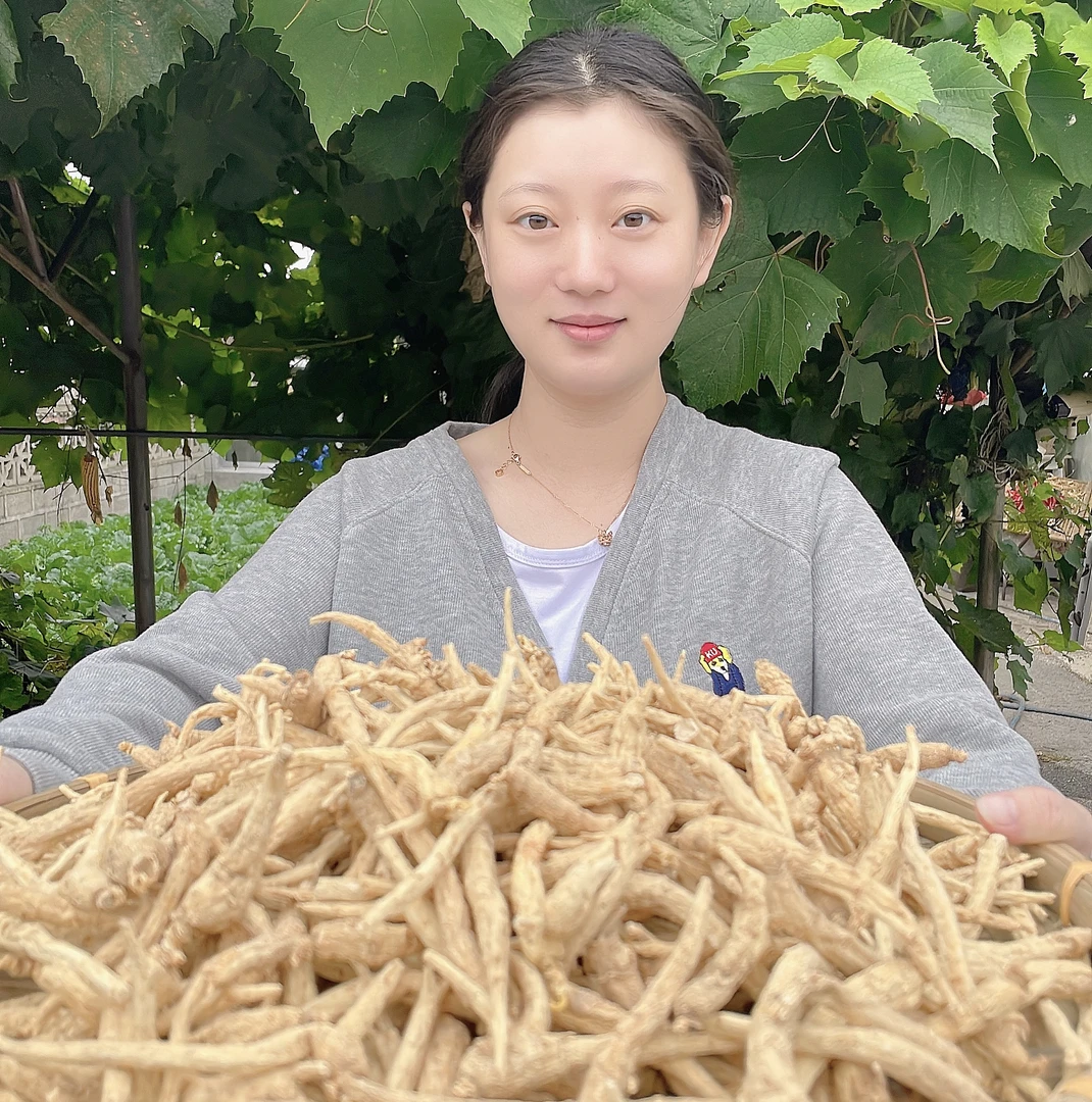 东北长白山林下西洋参 精品个头大饱满 滋补佳品6-8g/支