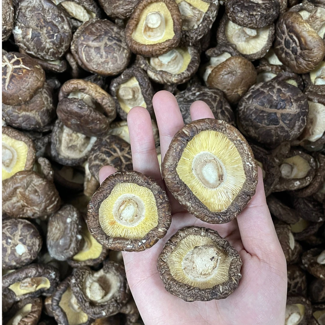 【梅姨专属】新香菇炒香饭炒菜 500g