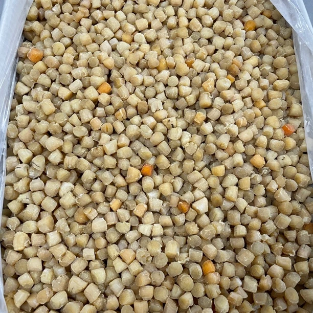 【等于弟】1干贝 煲汤煮粥 500g
