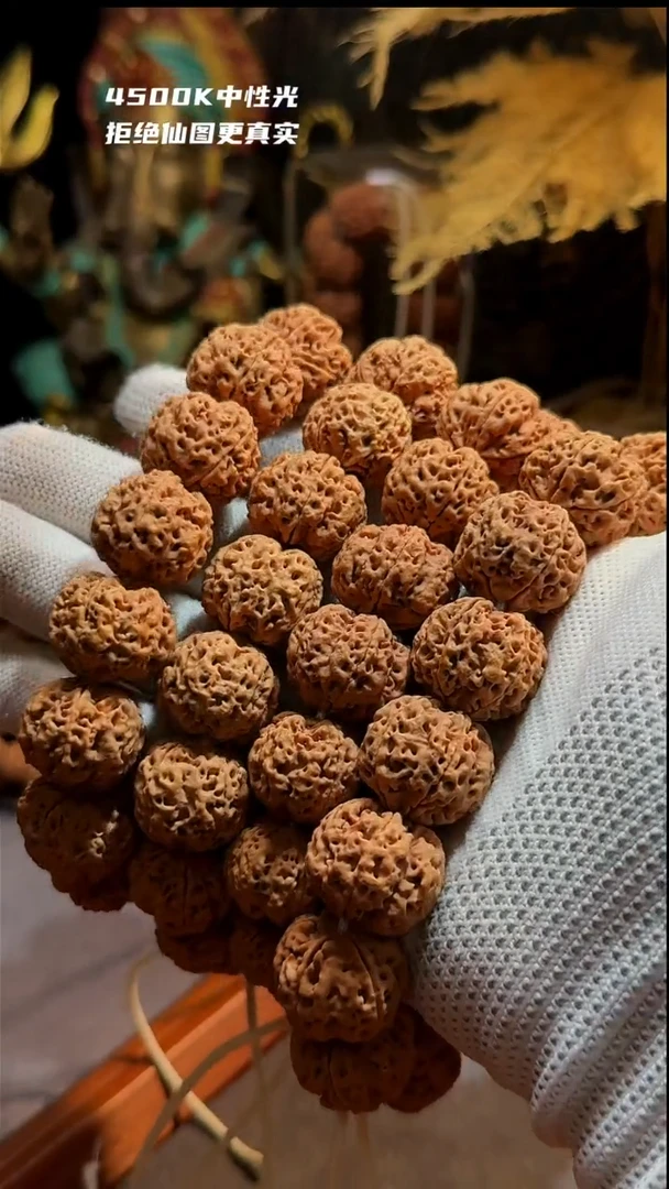【闪购商品】金刚菩提手串下播礼物21.5