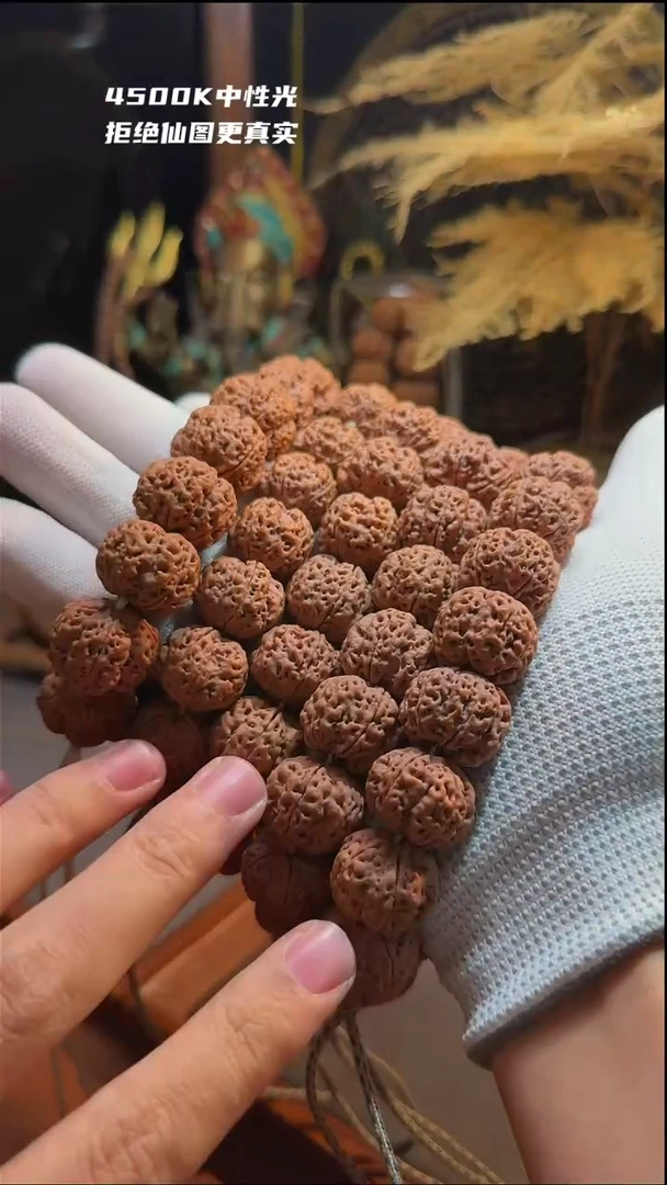 【闪购商品】金刚菩提手串肉梅花20