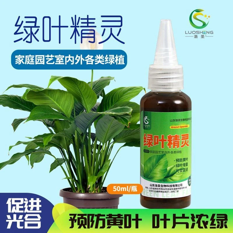 洛圣绿叶精灵解决黄叶死苗叶面肥花卉蔬菜果树一喷绿通用型营养液
