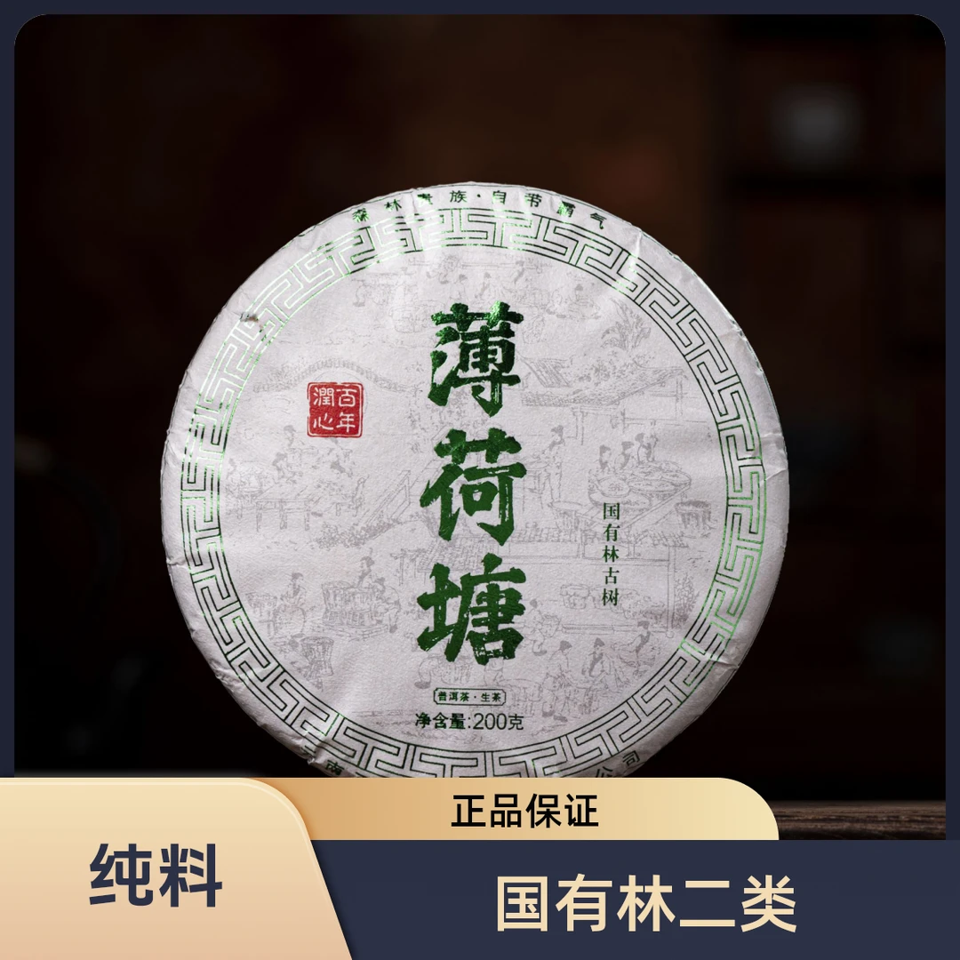 2023年易武草果地薄荷塘二类头春普洱茶生茶 200克
