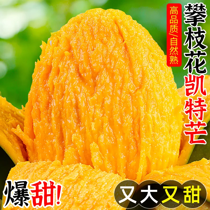 【放软再吃】一级果攀枝花凯特芒果新鲜现摘水果苹果芒大脸爆甜多汁
