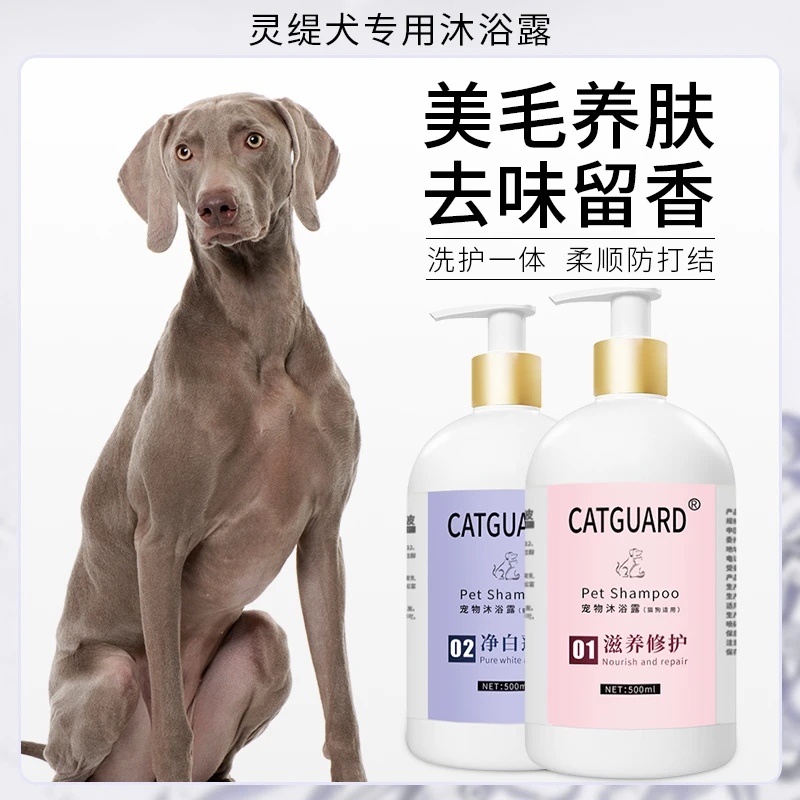 灵缇专用狗狗沐浴露除臭留香抑菌除螨止痒格力犬细狗洗澡浴液香波