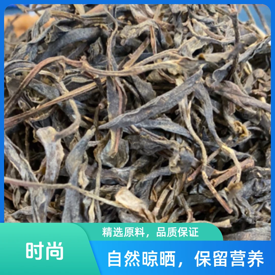 云南普洱茶  2023年 古树茶 生茶 500克