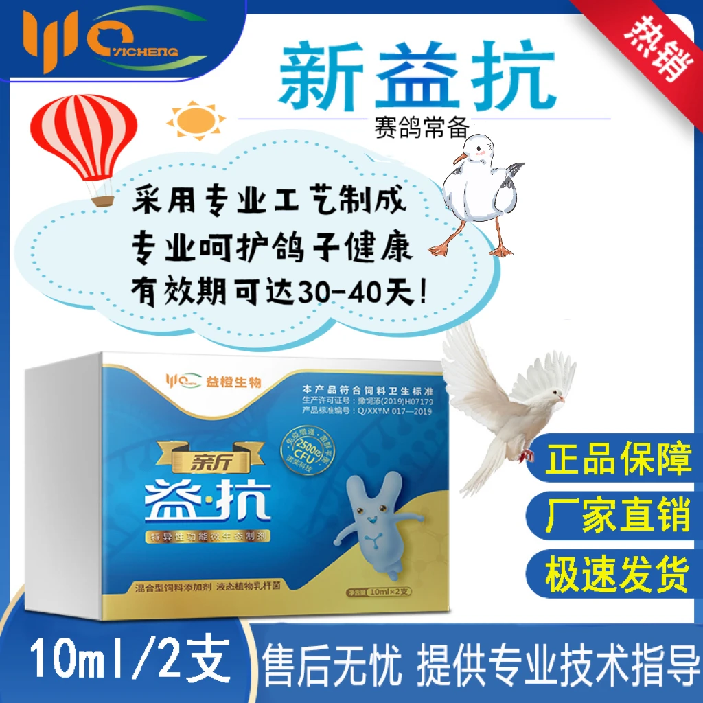 益橙 新益抗 赛鸽种鸽肉鸽禽类用