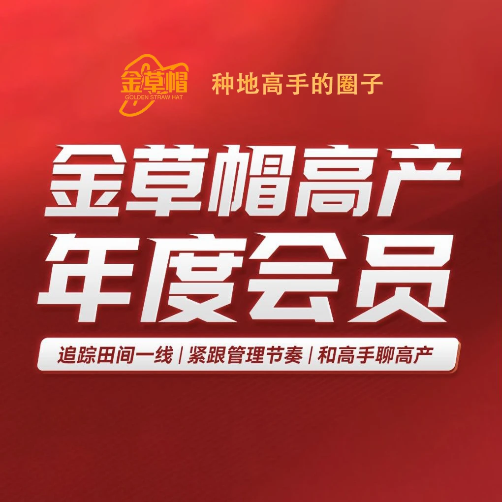 金草帽365高产年度会员直播课