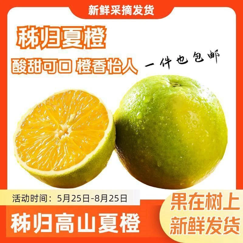 【秭归夏橙】当季新鲜水果高山脐橙酸甜榨汁手剥浓郁风味整箱包邮