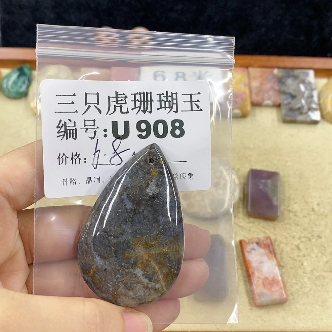 硅化珊瑚（珊瑚玉）1未镶嵌简****h