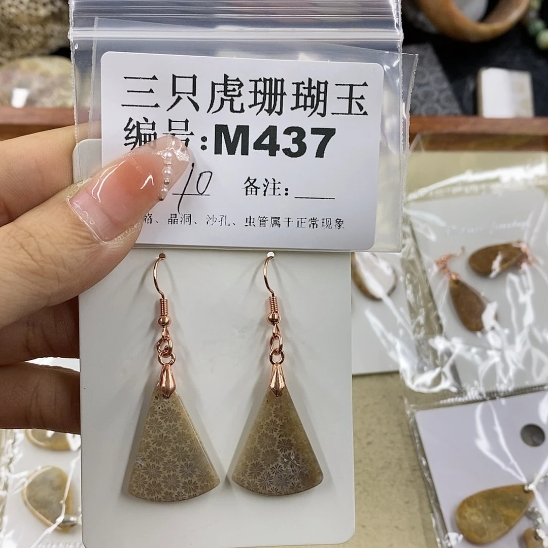 硅化珊瑚（珊瑚玉）1未镶嵌布***不