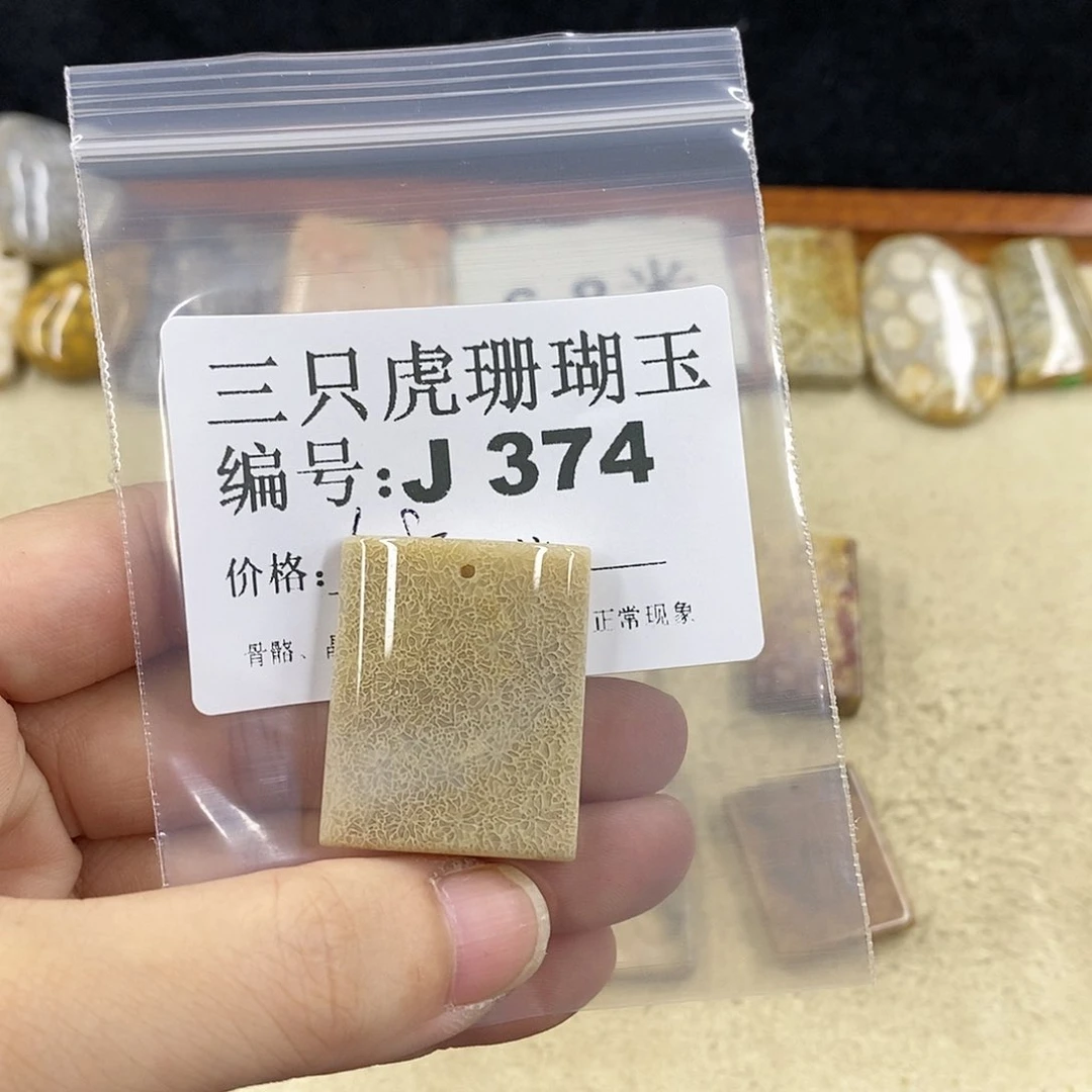 硅化珊瑚（珊瑚玉）1未镶嵌炁