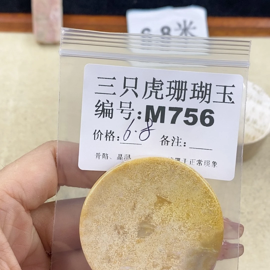 硅化珊瑚（珊瑚玉）1未镶嵌圆