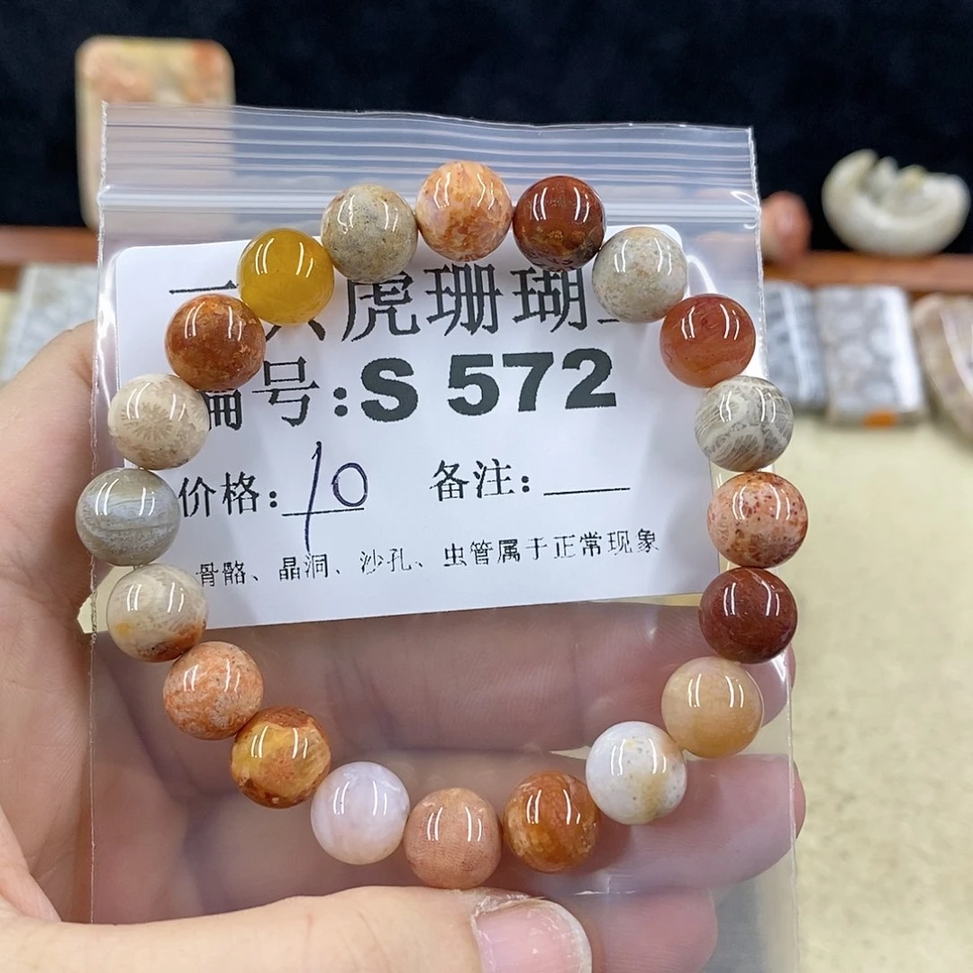 硅化珊瑚（珊瑚玉）1未镶嵌用****2