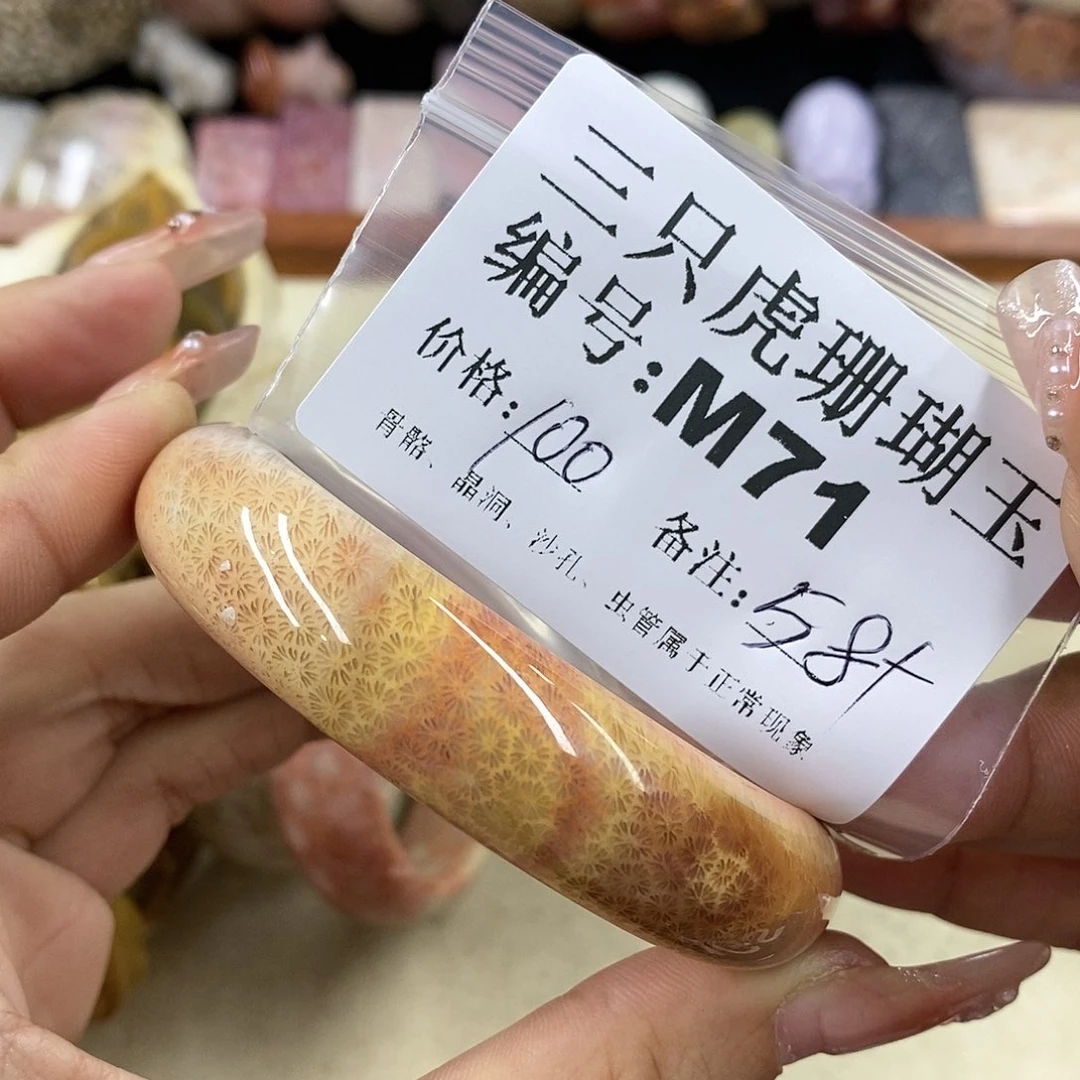 硅化珊瑚（珊瑚玉）1未镶嵌布***不