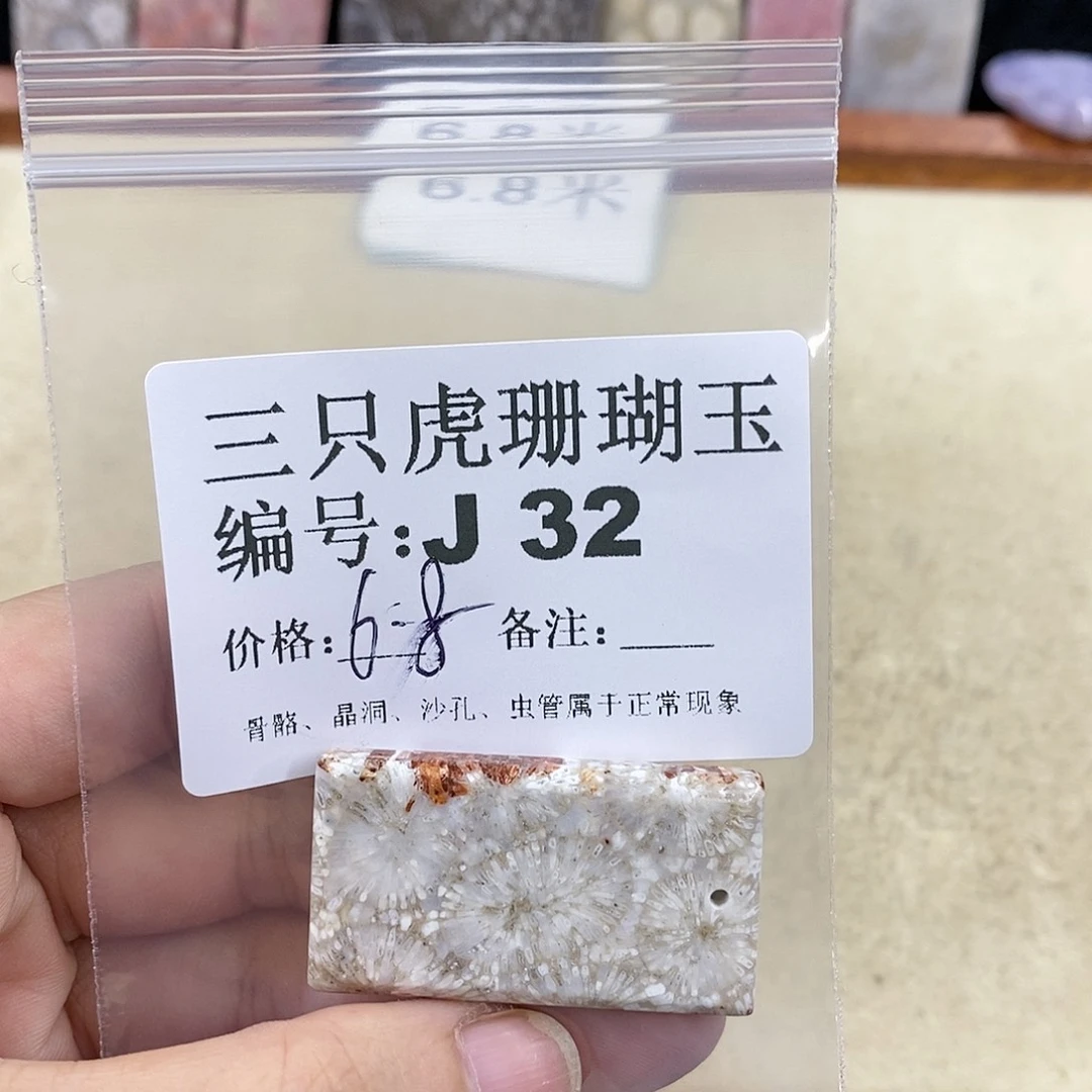 硅化珊瑚（珊瑚玉）1未镶嵌阿****啵