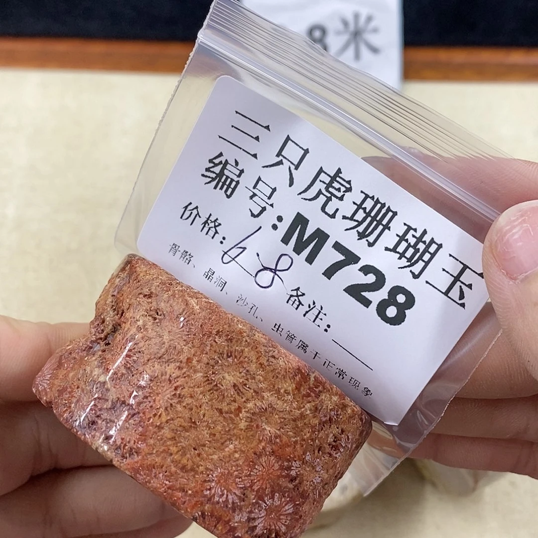 硅化珊瑚（珊瑚玉）1未镶嵌顺