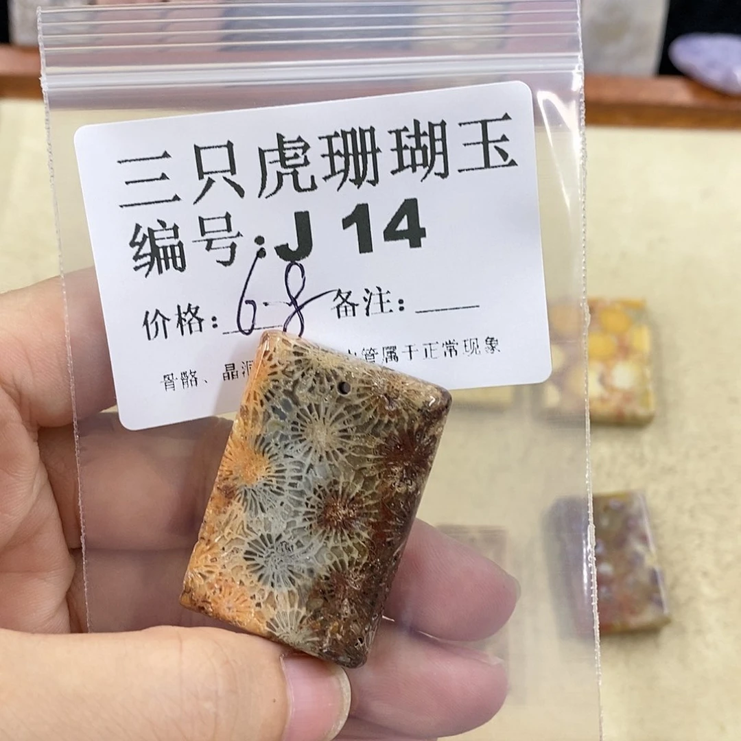 硅化珊瑚（珊瑚玉）1未镶嵌桐**院