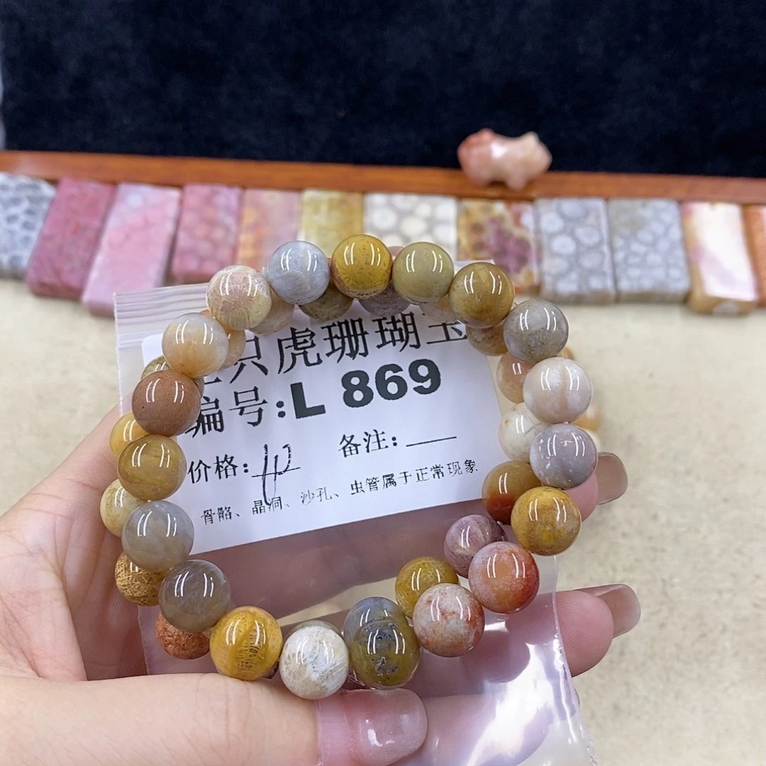 硅化珊瑚（珊瑚玉）1未镶嵌暗*