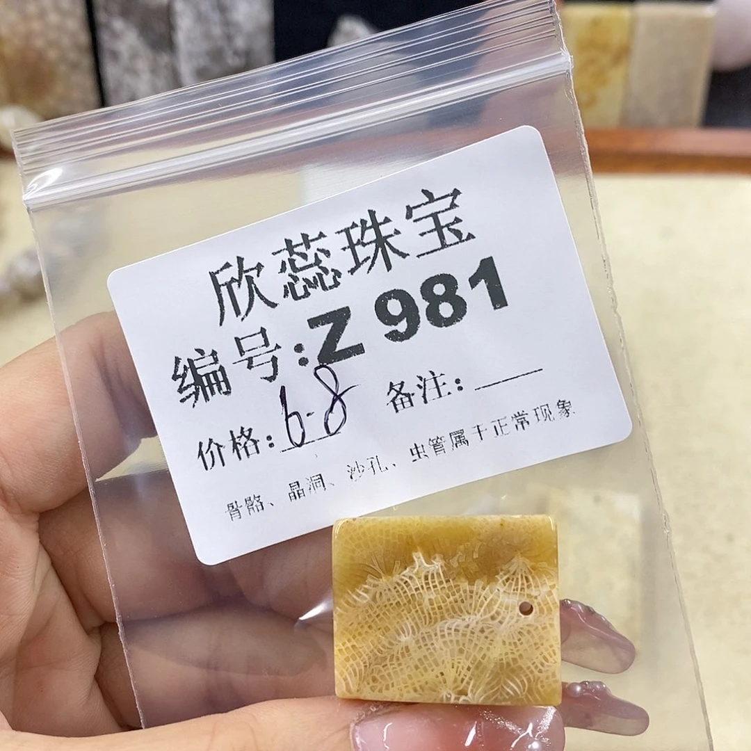 硅化珊瑚（珊瑚玉）1未镶嵌夷***拉