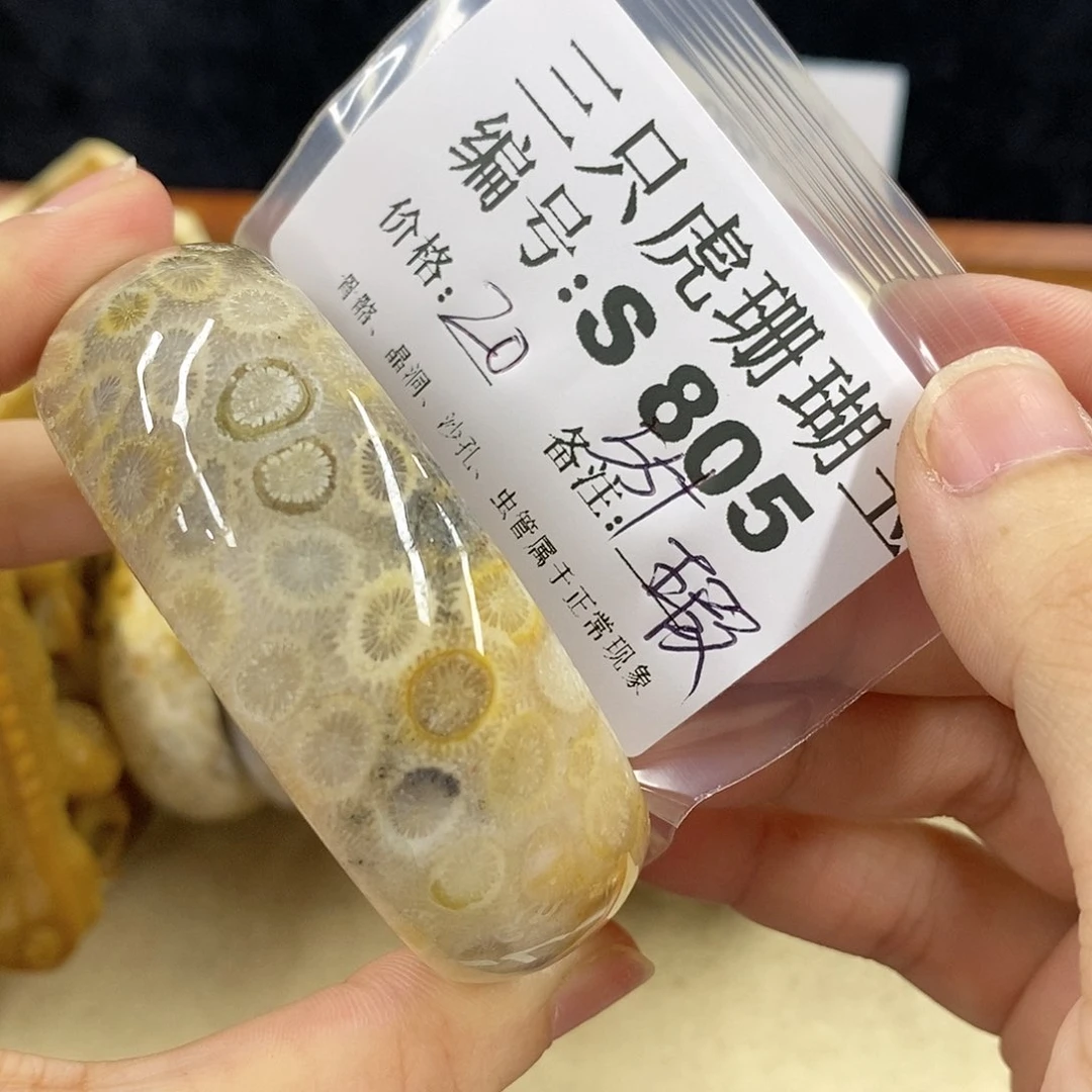 硅化珊瑚（珊瑚玉）1未镶嵌c****o