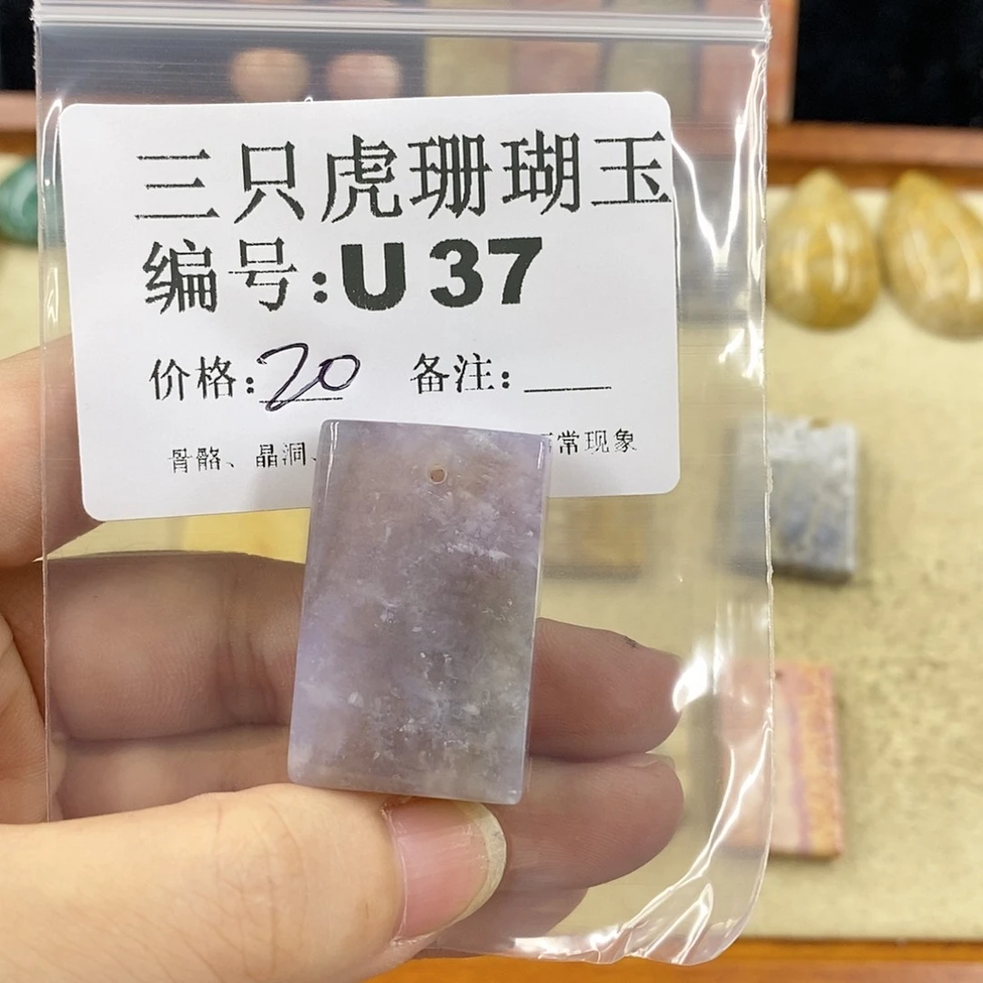 硅化珊瑚（珊瑚玉）1未镶嵌水**草