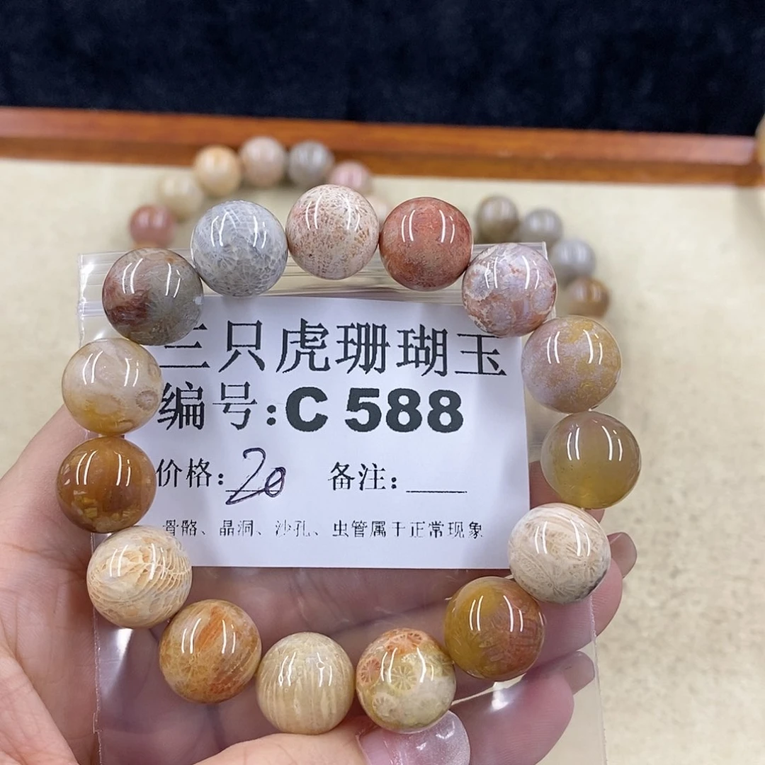 硅化珊瑚（珊瑚玉）1未镶嵌@****@