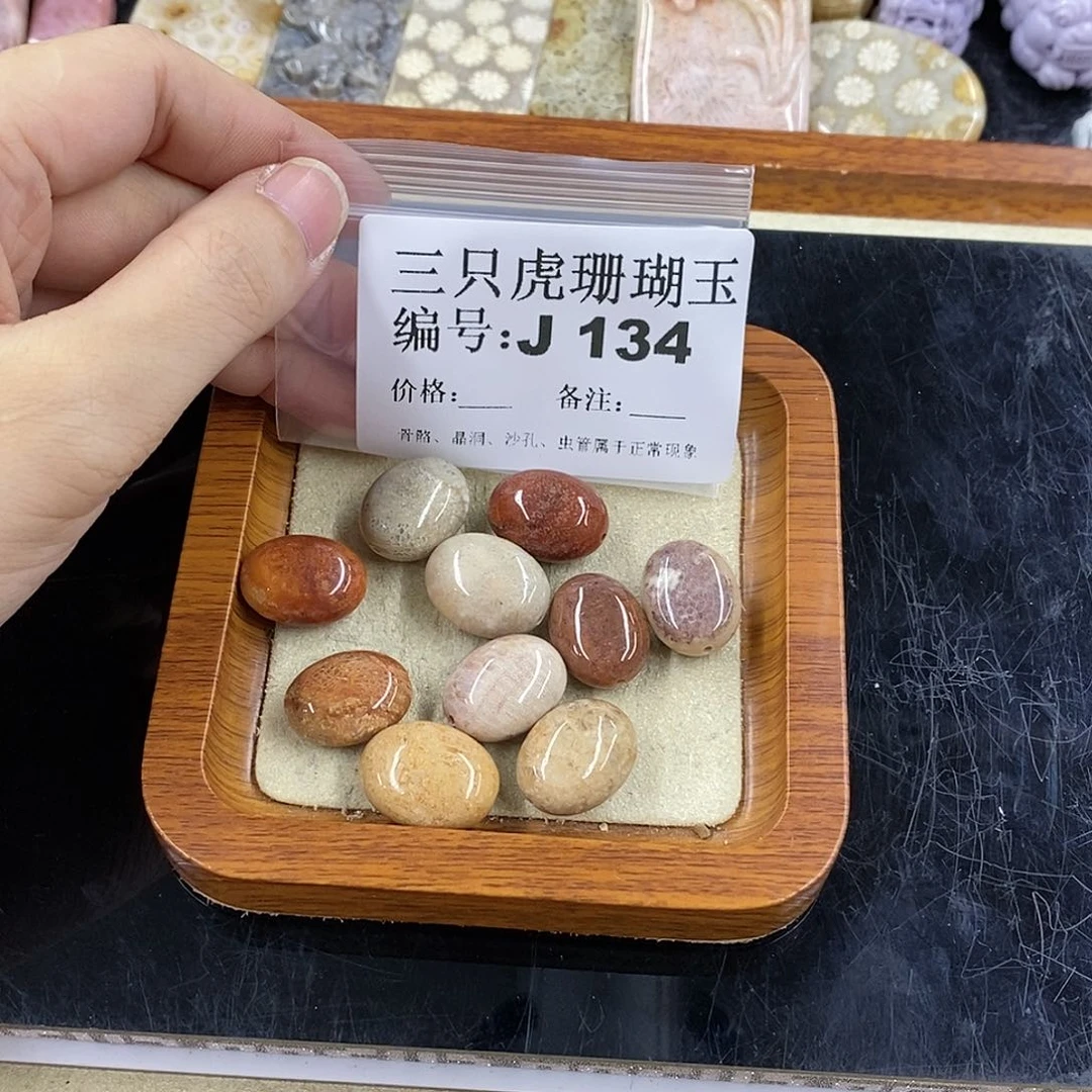 硅化珊瑚（珊瑚玉）1未镶嵌