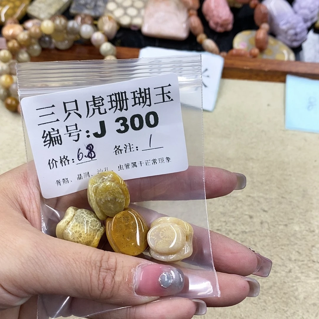 硅化珊瑚（珊瑚玉）1未镶嵌娟